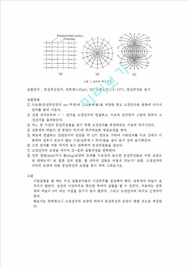 [물리학실험 레포트 보고서] 등전위선 측정.hwp